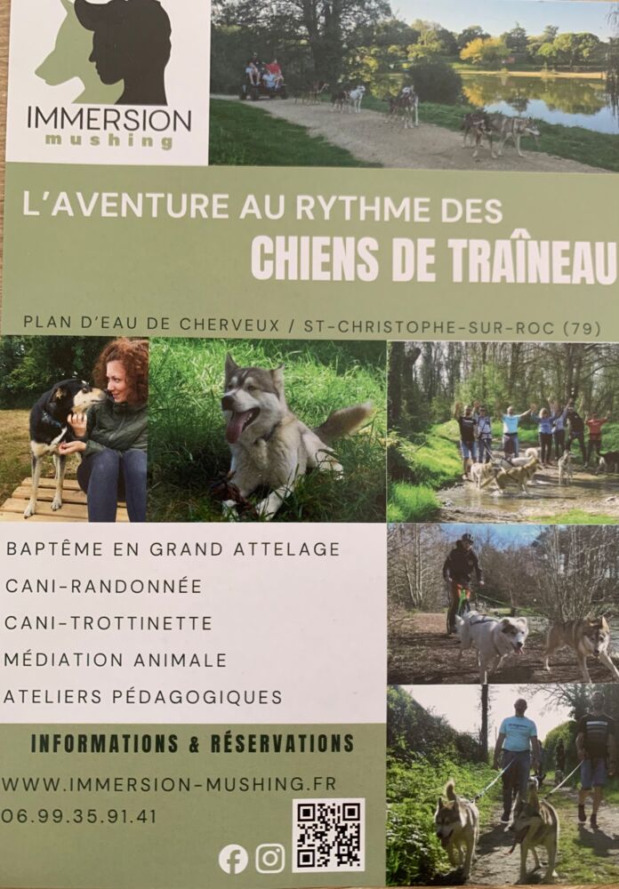 L'aventure au rythme des chiens de traîneau (Départ possible du gîte)