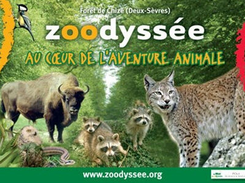 Le Zoodyssé de Chizé (à 55 min)